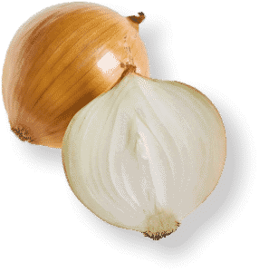 Yellow Onion