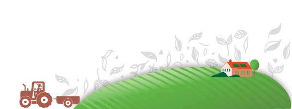 Tractor Graphic