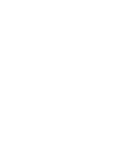 Pan fried icon