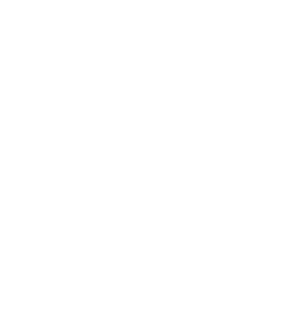 Grilled on a grill icon