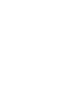 Raw onion icon