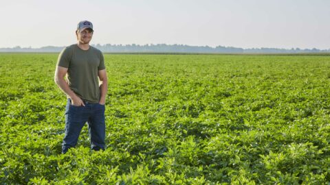 Nuto Farms son standing in potato field