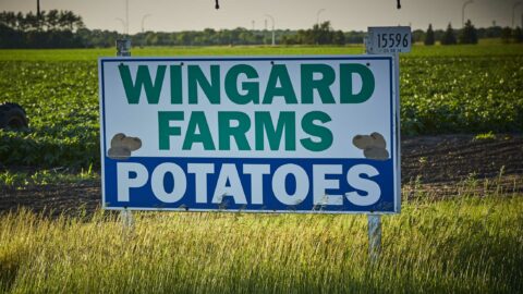 Wingard Farms' sign
