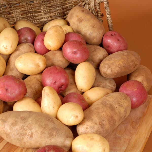 How to store potatoes