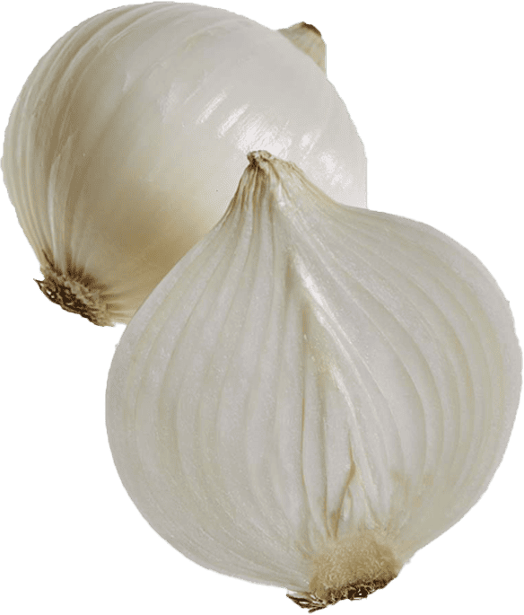 White Onion
