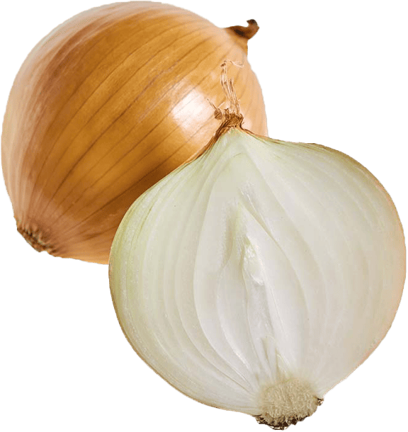 Yellow Onion