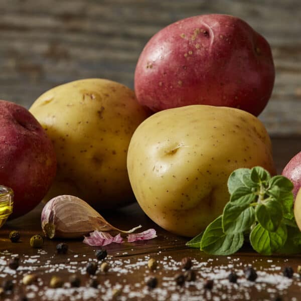 Yellow and red raw potatoes with oil, salt and pepper in rustic setting.